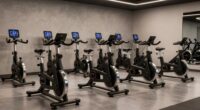 affordable quiet spin bikes