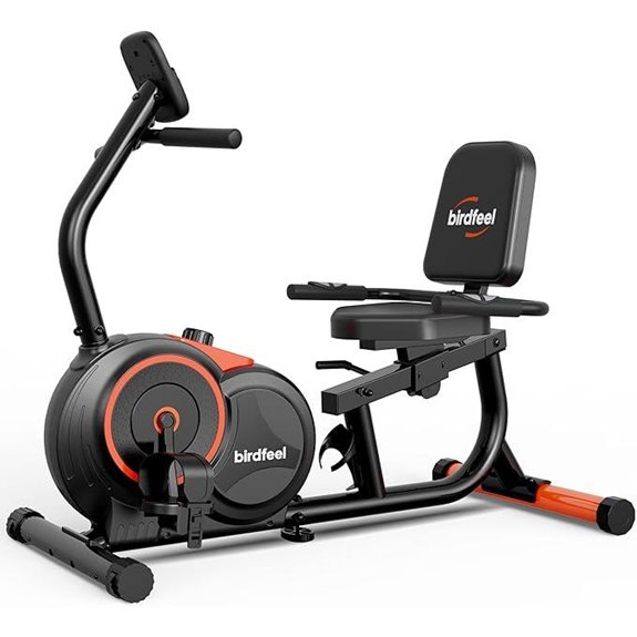 Recumbent Exercise Bike for Home and Seniors