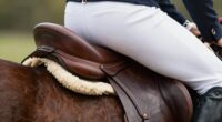 poor saddle positioning affects riding