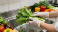 cyclospora outbreak uk